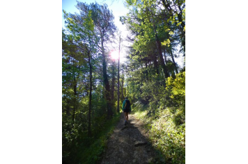 Sentier botanique de Molard OTSB